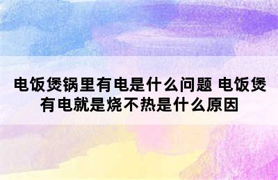 电饭煲锅里有电是什么问题 电饭煲有电就是烧不热是什么原因